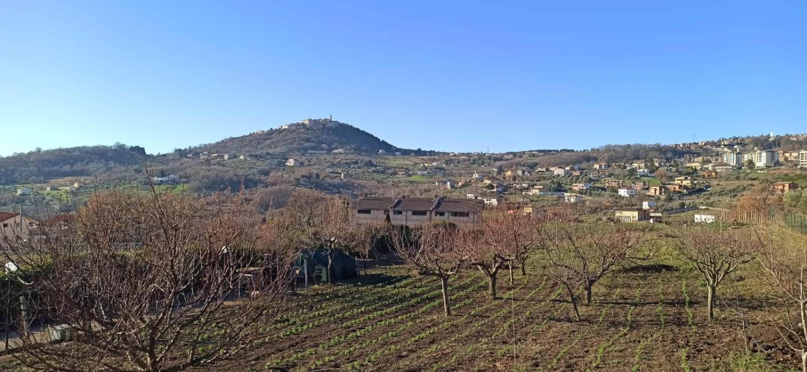 Natura Affittacamere كامبوباسّو المظهر الخارجي الصورة